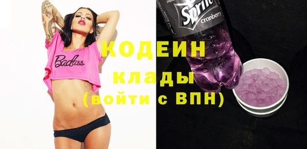 таблы Гусев