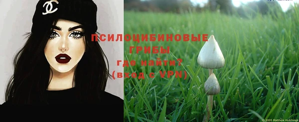 ПСИЛОЦИБИНОВЫЕ ГРИБЫ Горняк
