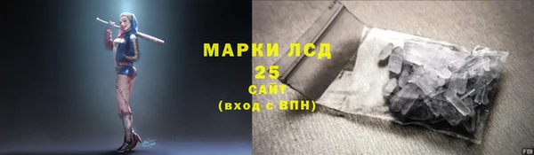 ПСИЛОЦИБИНОВЫЕ ГРИБЫ Горняк