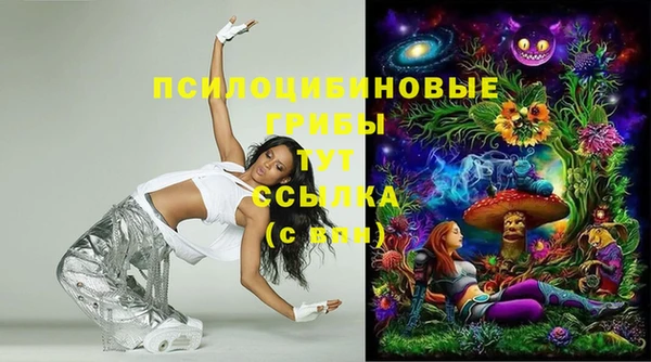 стаф Гусиноозёрск