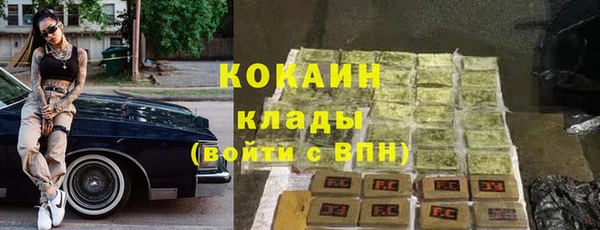 ПСИЛОЦИБИНОВЫЕ ГРИБЫ Горняк