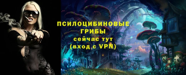 стаф Гусиноозёрск