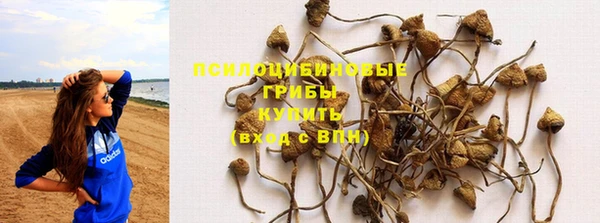 ПСИЛОЦИБИНОВЫЕ ГРИБЫ Горняк