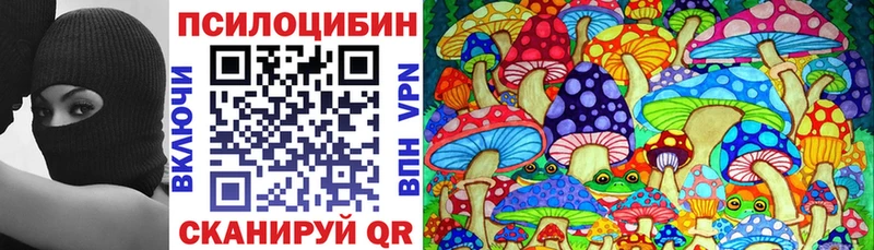 Купить  Микунь  Галлюциногенные грибы Psilocybine cubensis 